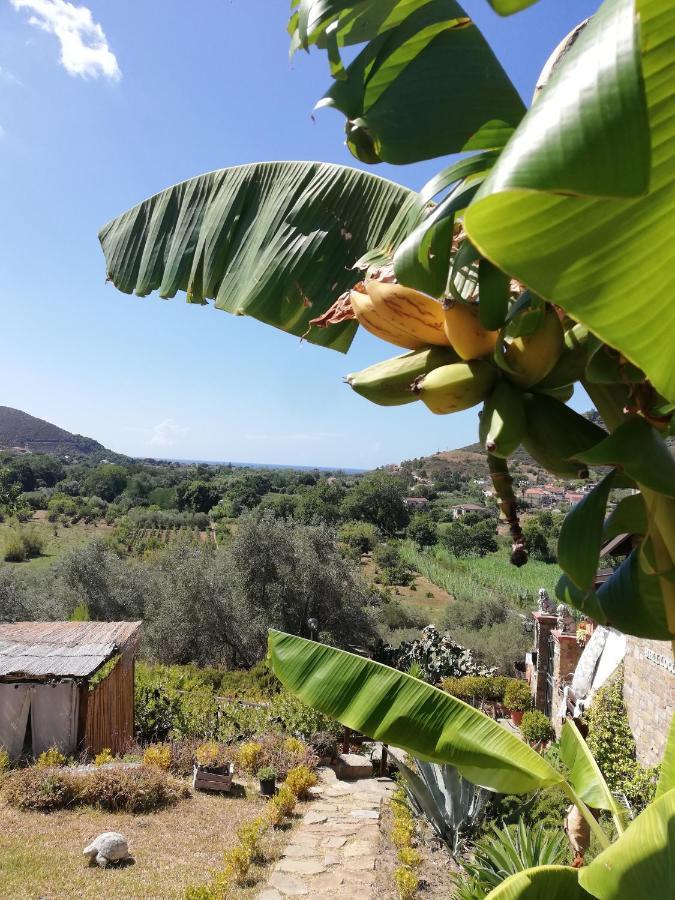 Il Brillocco Bed & Breakfast Castellabate Exterior foto