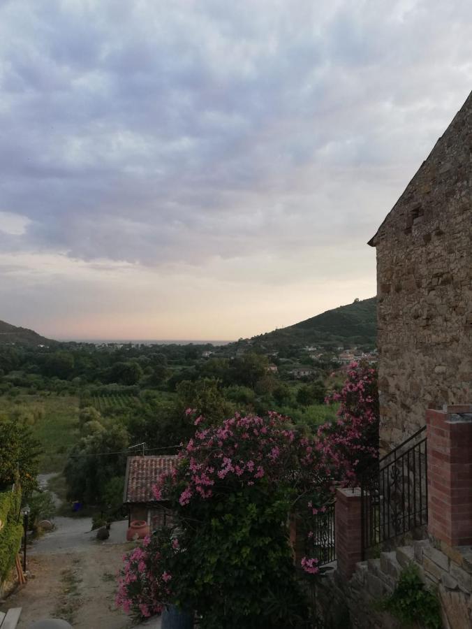 Il Brillocco Bed & Breakfast Castellabate Exterior foto