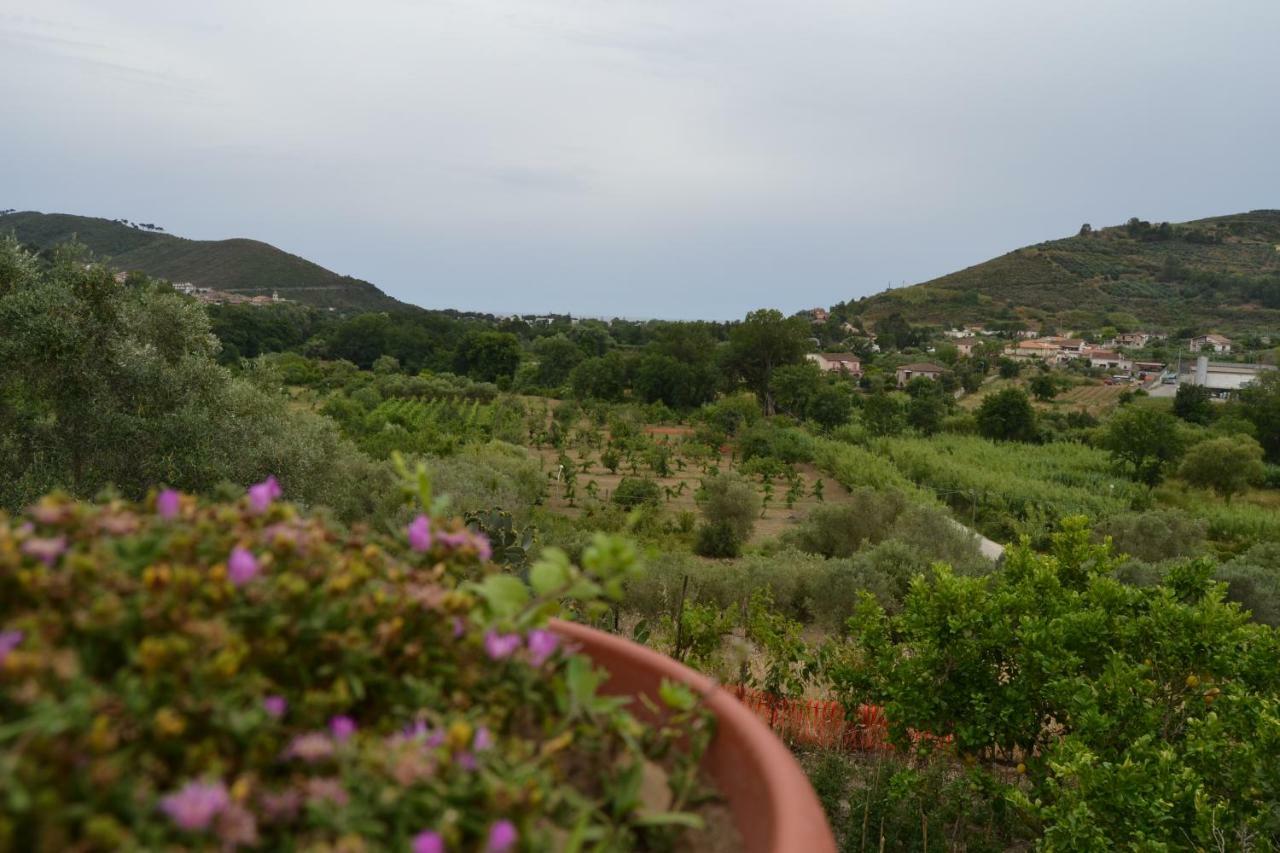 Il Brillocco Bed & Breakfast Castellabate Exterior foto