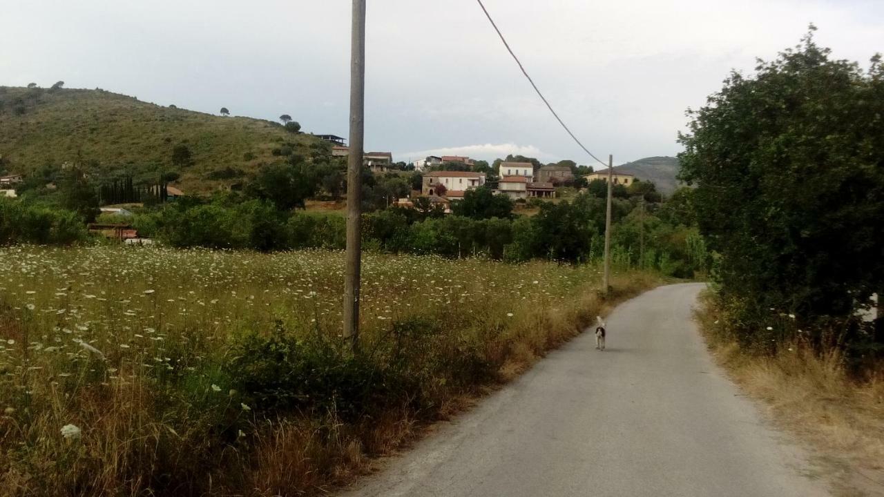 Il Brillocco Bed & Breakfast Castellabate Exterior foto