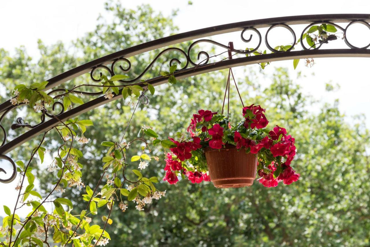 Il Brillocco Bed & Breakfast Castellabate Exterior foto