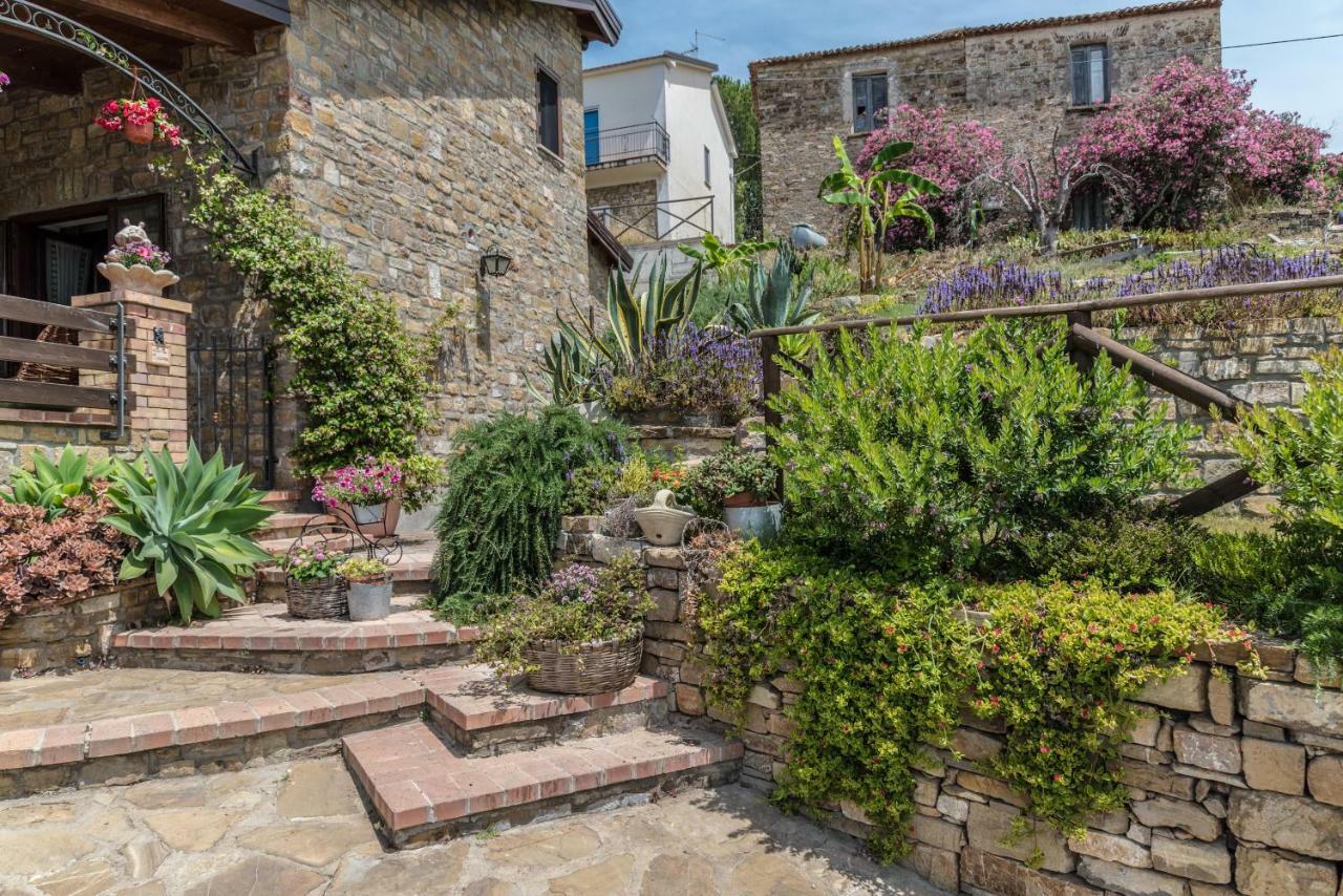 Il Brillocco Bed & Breakfast Castellabate Exterior foto