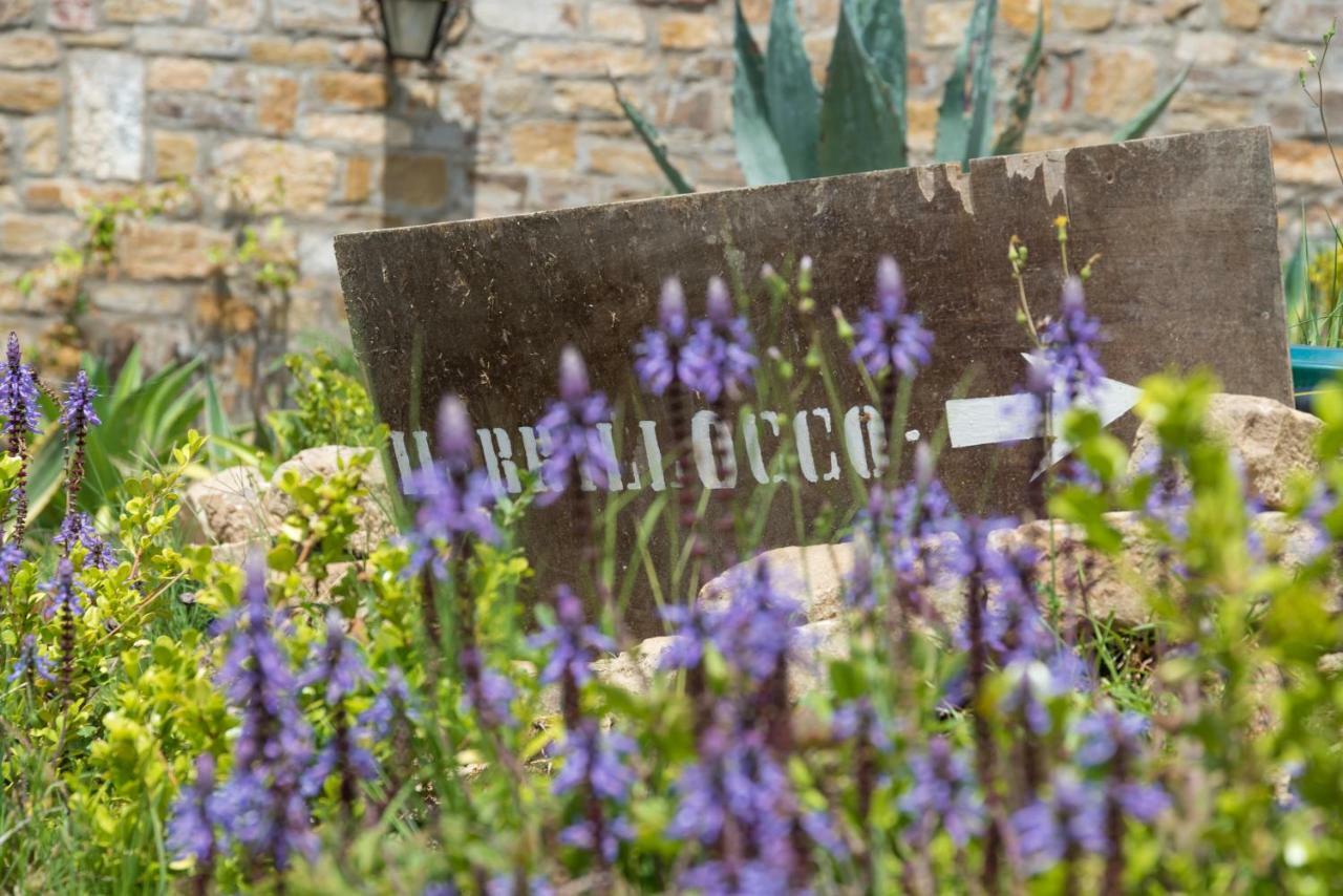 Il Brillocco Bed & Breakfast Castellabate Exterior foto